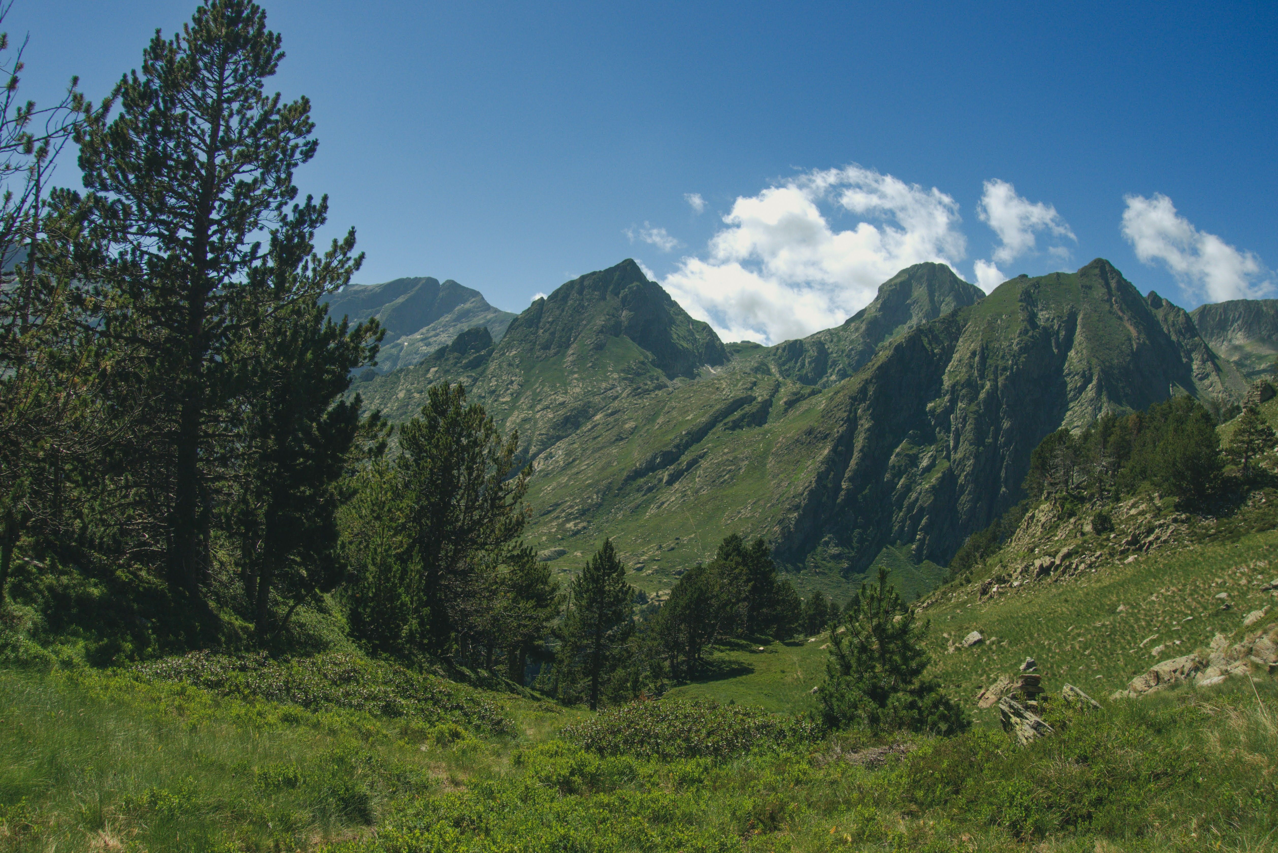 Lush green landscape with mountains and trees in the Spanish Pyrenees, under a clear sky.