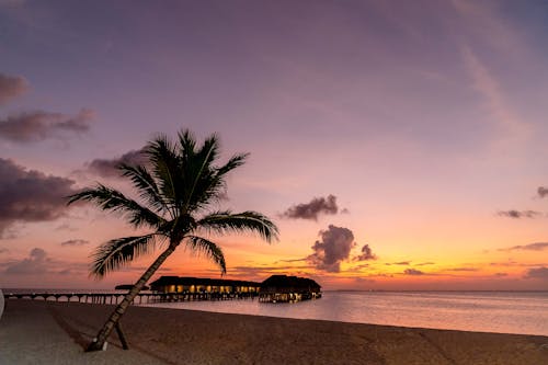Tropical Beach and Pier at Sunset