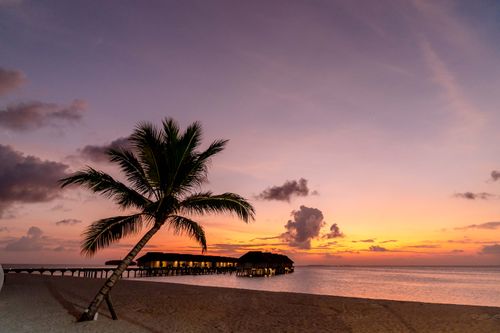 Free Idyllic tropical beach scene at sunset with a palm tree and pier, perfect for travel and vacation imagery. Stock Photo