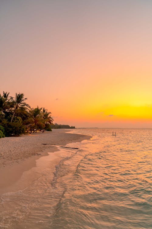 Free Exotic Beach at Sunrise Stock Photo