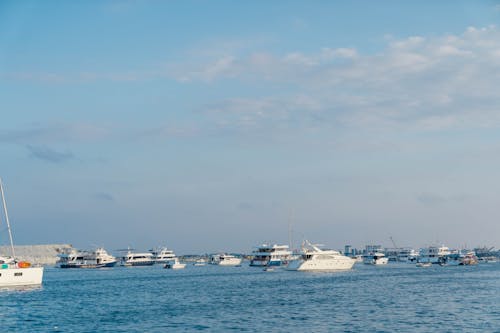 帆船, 海, 海洋 的 免費圖庫相片