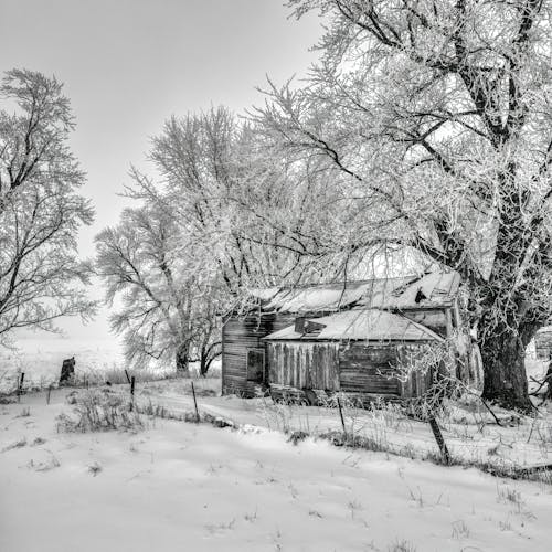 Snowed Wooden Cottage