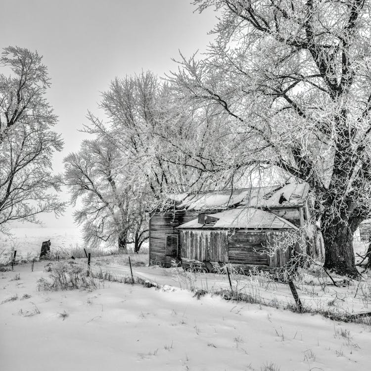 Snowed Wooden Cottage