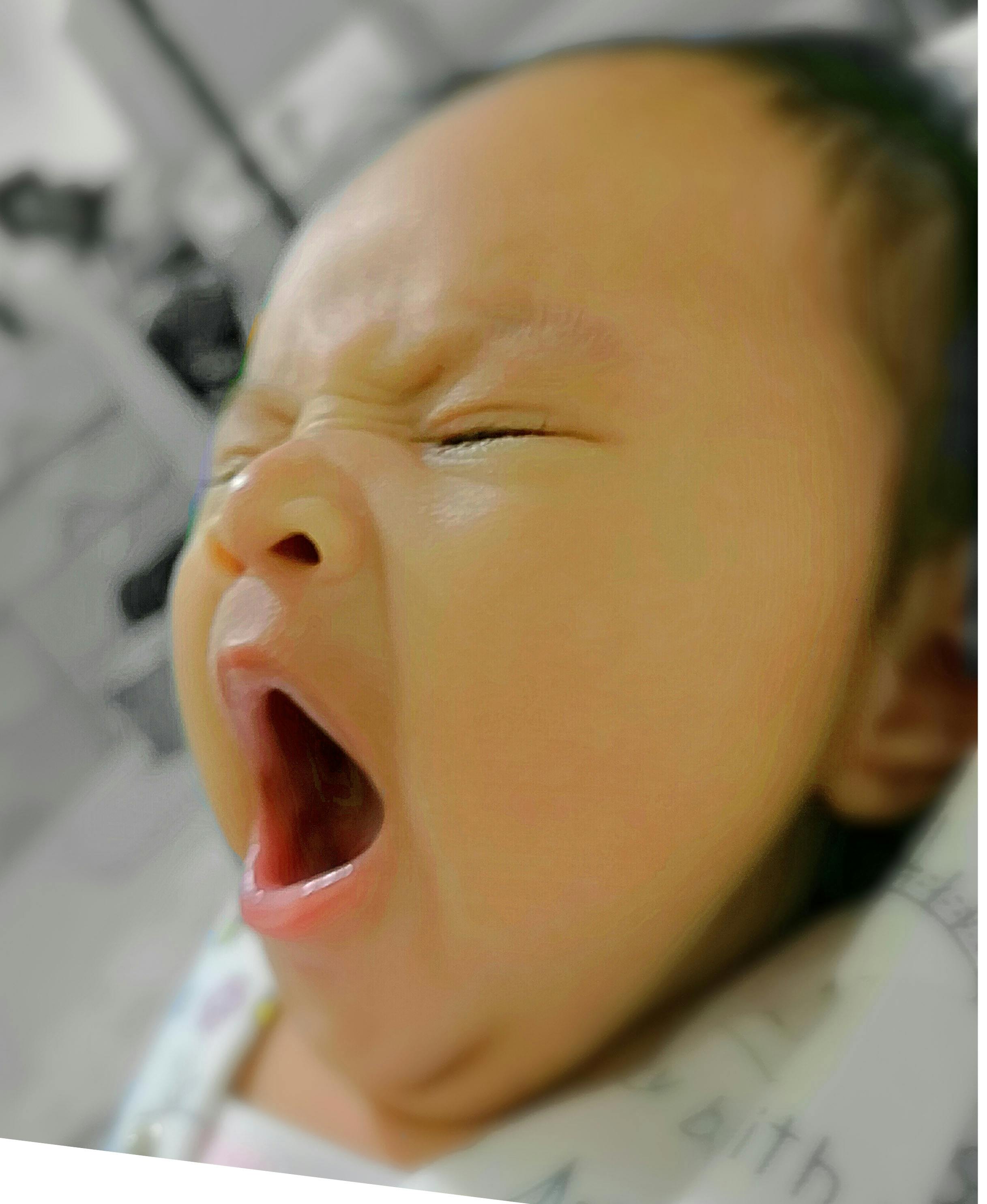 あくび 可愛い 新生児の無料の写真素材