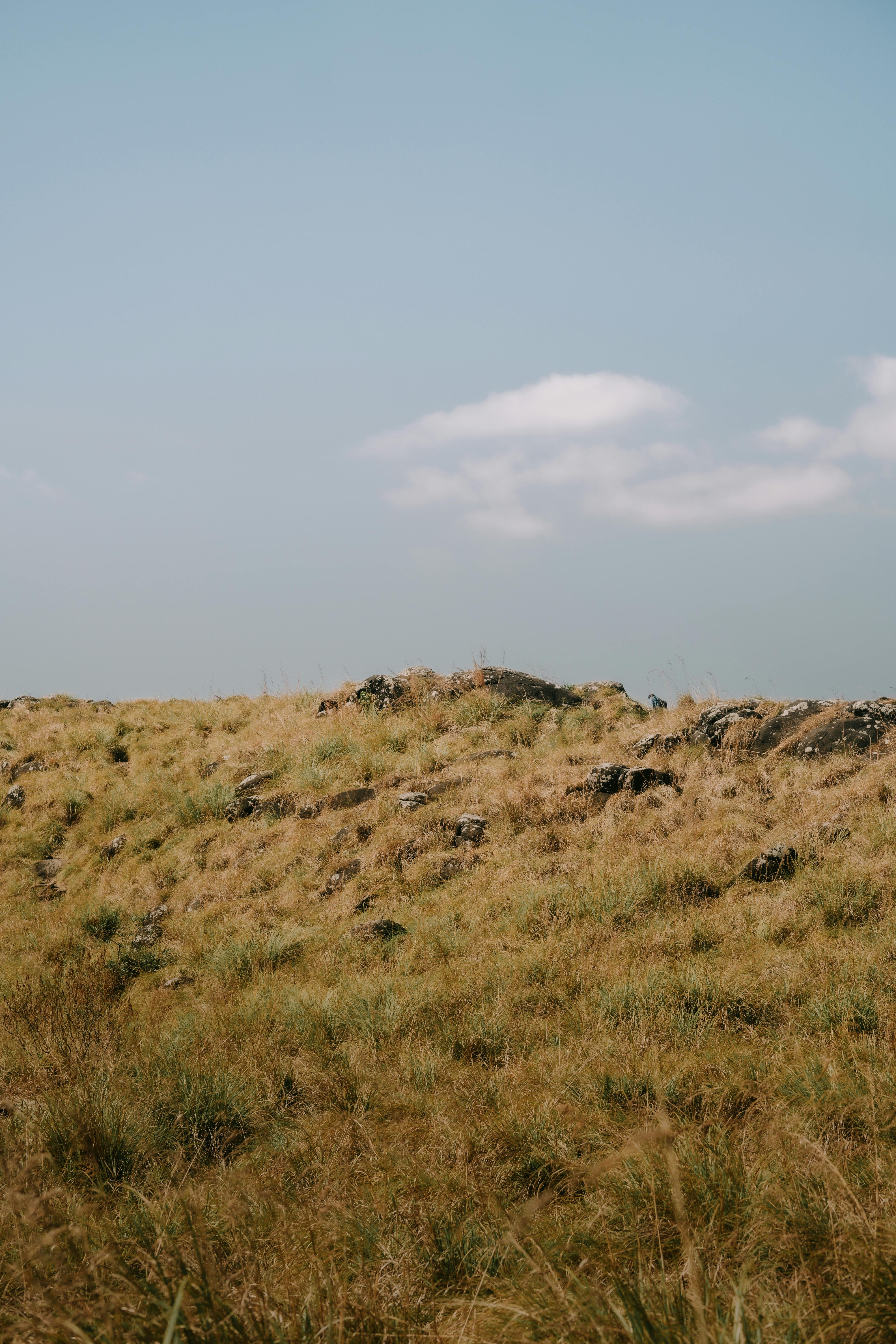 Free stock photo of countryside, dune, environment, fall, grass, grassland, hayfield, hill