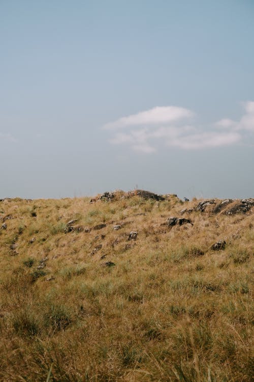 Ingyenes stockfotó fű, hegycsúcs, kék ég témában