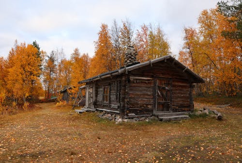 Kostnadsfri bild av falla, höst, hus