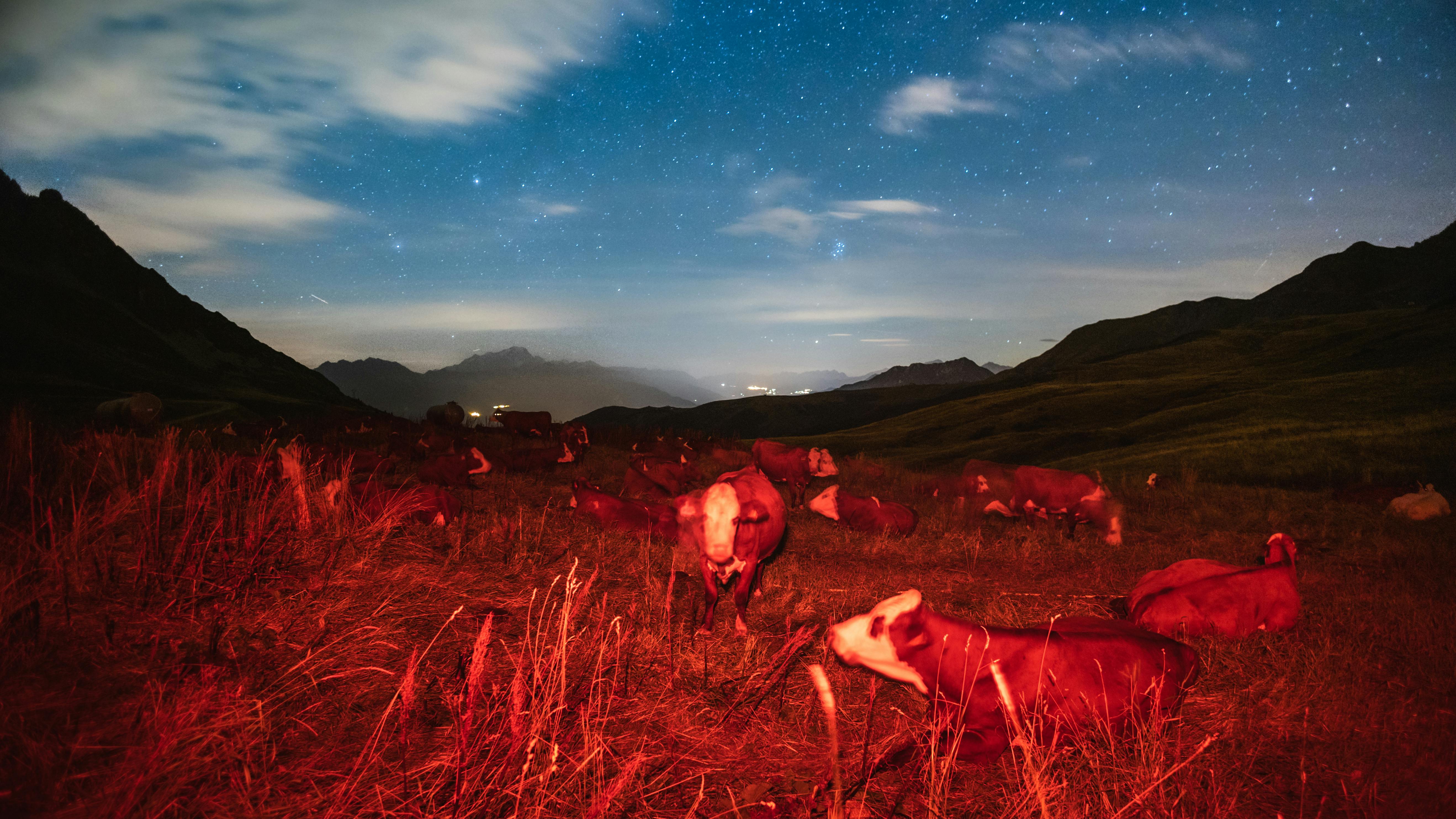 De franc Foto d'estoc gratuïta de a l'aire lliure, agricultura, alps Foto d'estoc