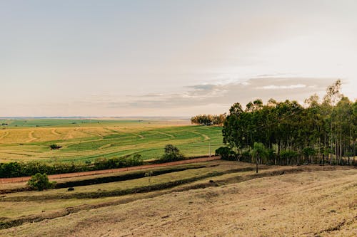 Kostnadsfri bild av åkermark, bondgård, horisont