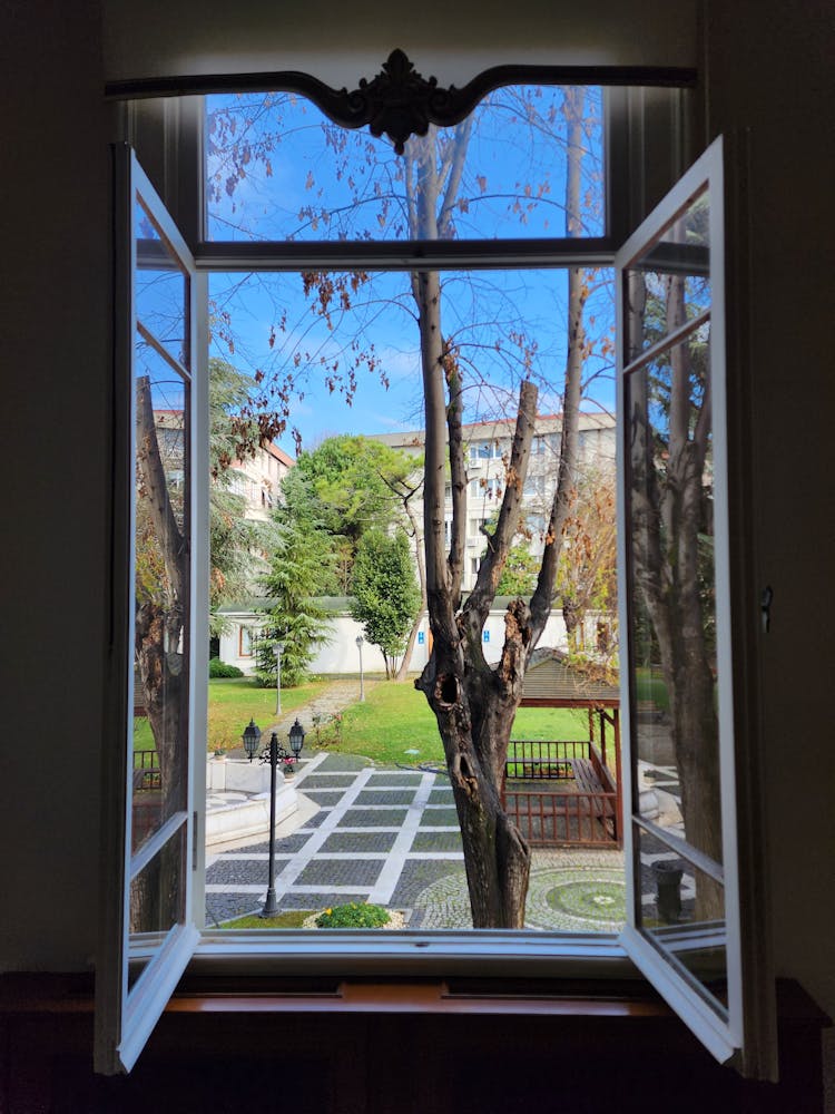 View From Open House Window On Tree Growing In Yard