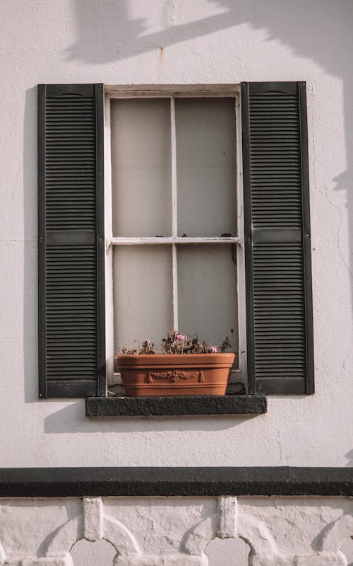 Foto profissional grátis de adorável, cortinas, janela