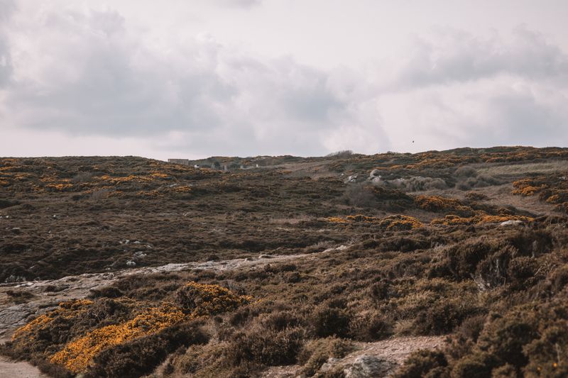 Vast scenic moorland near Dublin, Ireland, showcasing natural beauty and rugged terrain under a cloudy sky.