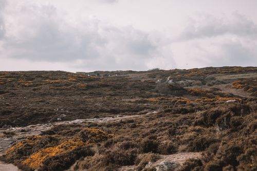 Free Vast scenic moorland near Dublin, Ireland, showcasing natural beauty and rugged terrain under a cloudy sky. Stock Photo