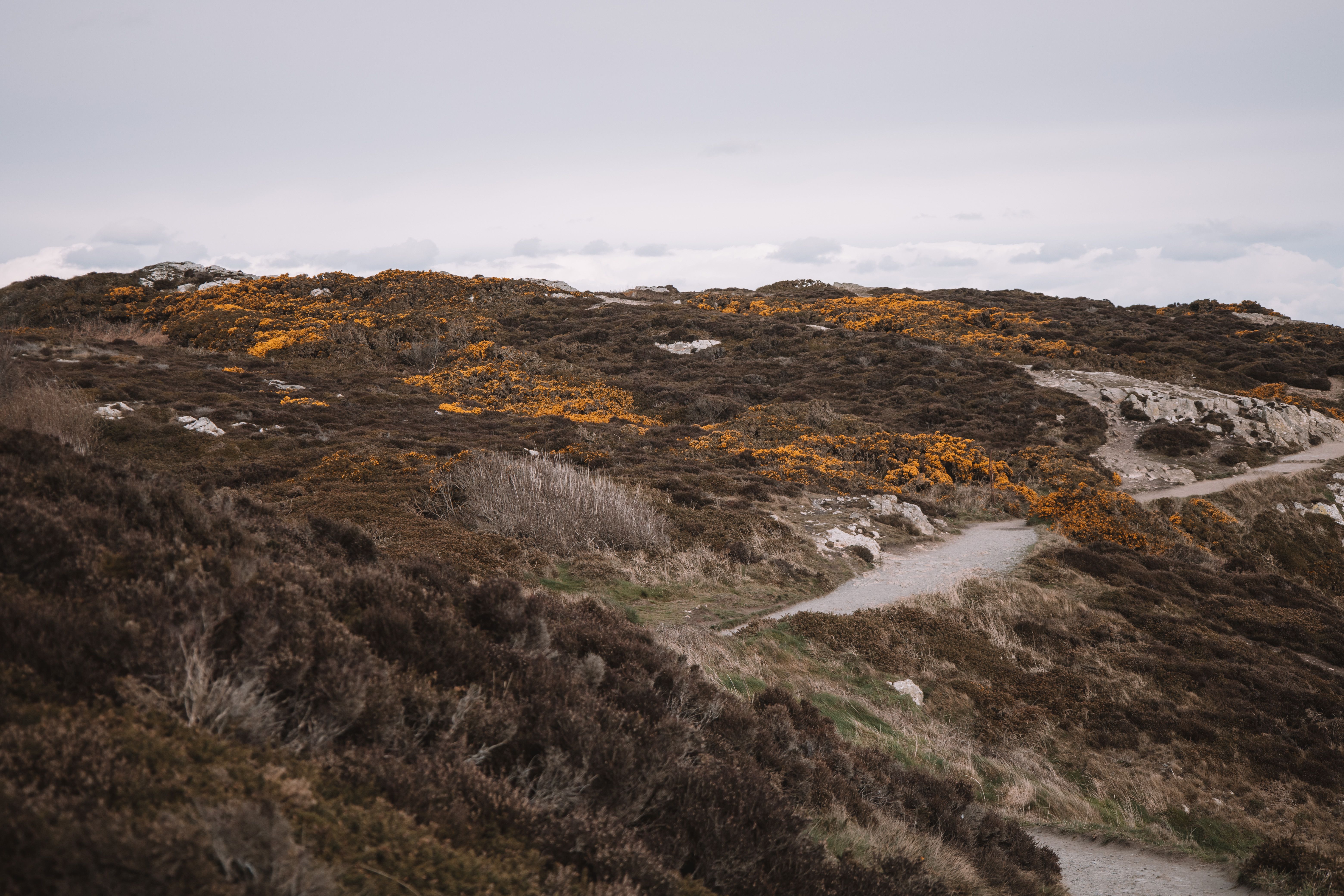 I spent a year traveling across Ireland. There were 4 popular spots I loved, and 2 that didn't live up to the hype. — Photo b