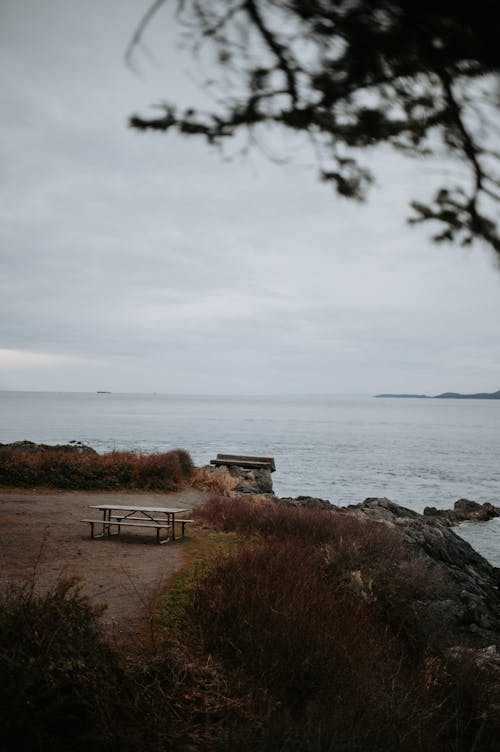 Wooden Bench on Seashore in Winter