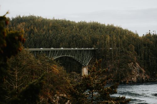 Free An elevated bridge spans a lush forested valley, capturing the essence of fall. Stock Photo