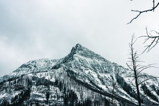 Snow-covered peak in the serene winter landscape of Waterton Park, AB, Canada.