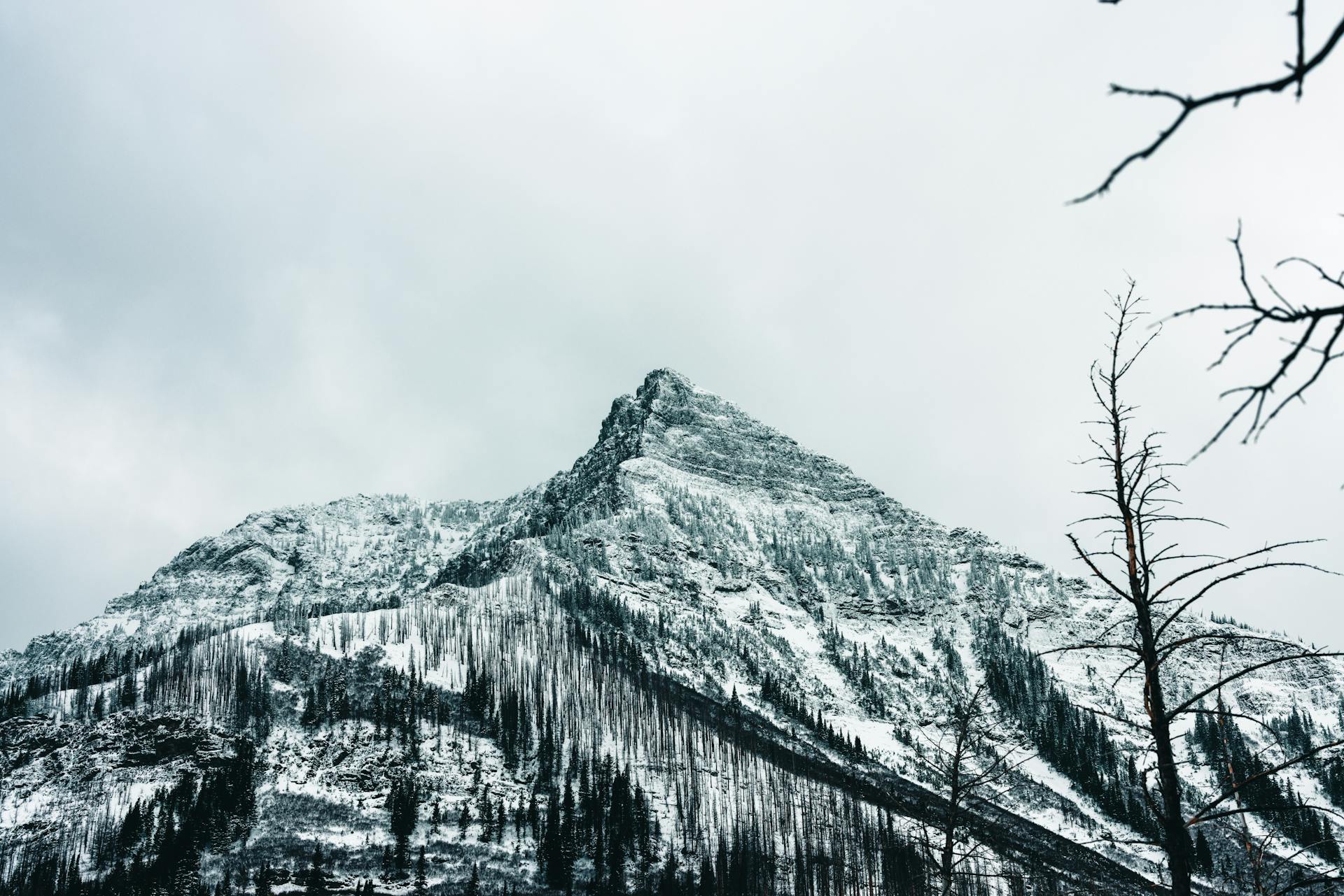 Snow-covered peak in the serene winter landscape of Waterton Park, AB, Canada.