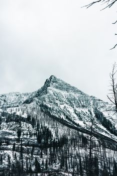 Dramatic snow-covered mountain peak in Waterton Park, Alberta, Canada, during winter.