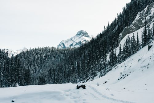 Free Scenic winter view of snow-capped mountains and forest in Kananaskis, Alberta, Canada. Stock Photo