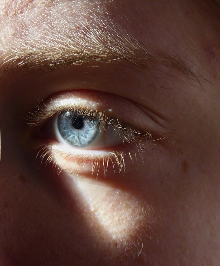 Close-up Of Person Eye