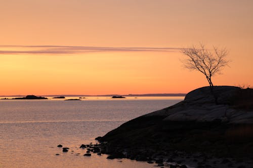 A Silhouetted, Rocky Shore and Seascape under a Pink Sky 