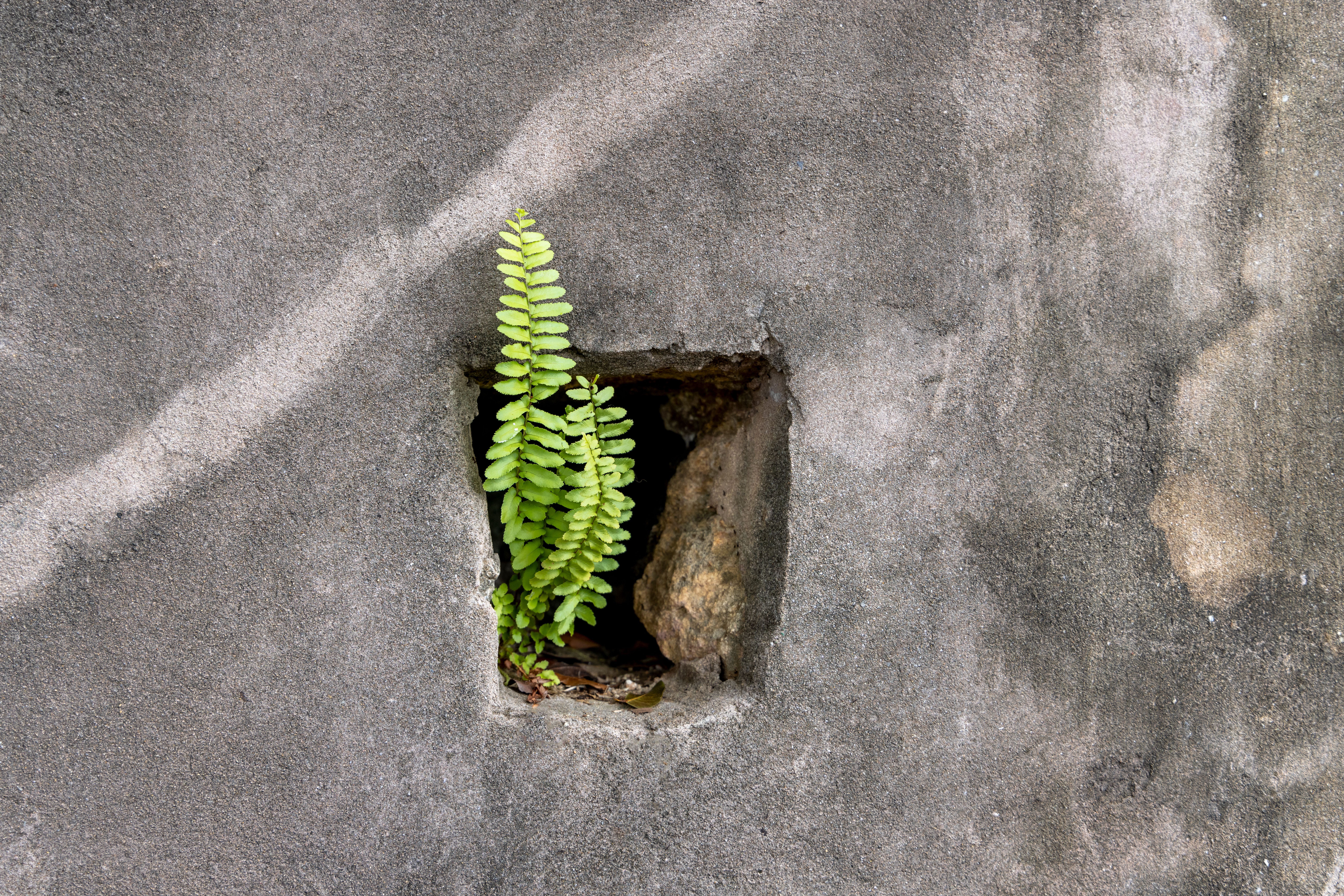Various types of foundation cracks on a concrete wall illustrating common issues in San Diego homes for repair guidance