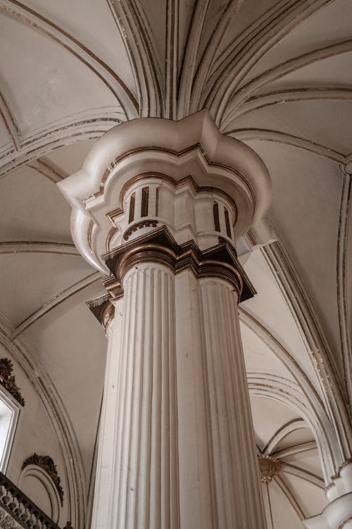 Ilmainen kuvapankkikuva tunnisteilla barokki-arkkitehtuuri, guadalajaran katedraali, helpotus