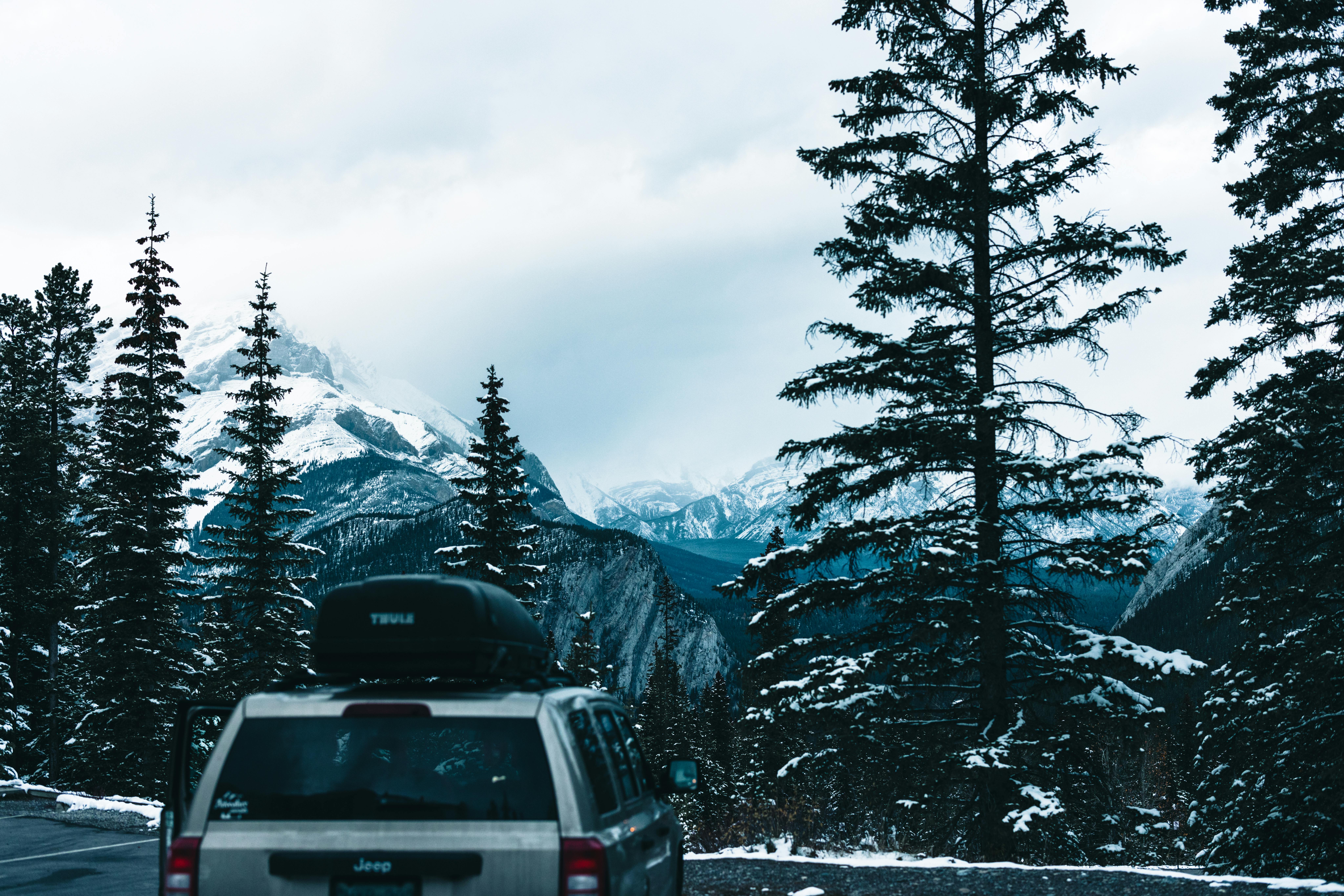 Toyota recalls 550,000 Highlander SUVs because seat backs may fail to lock — Photo by Ali Kazal on Pexels