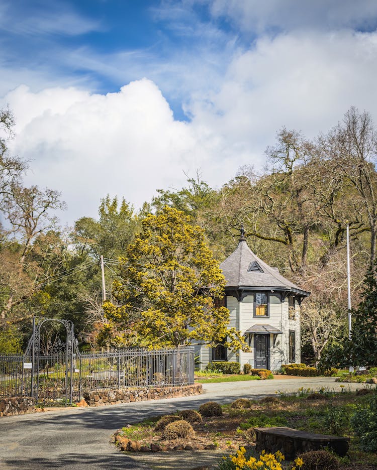 Wooden House In Countryside