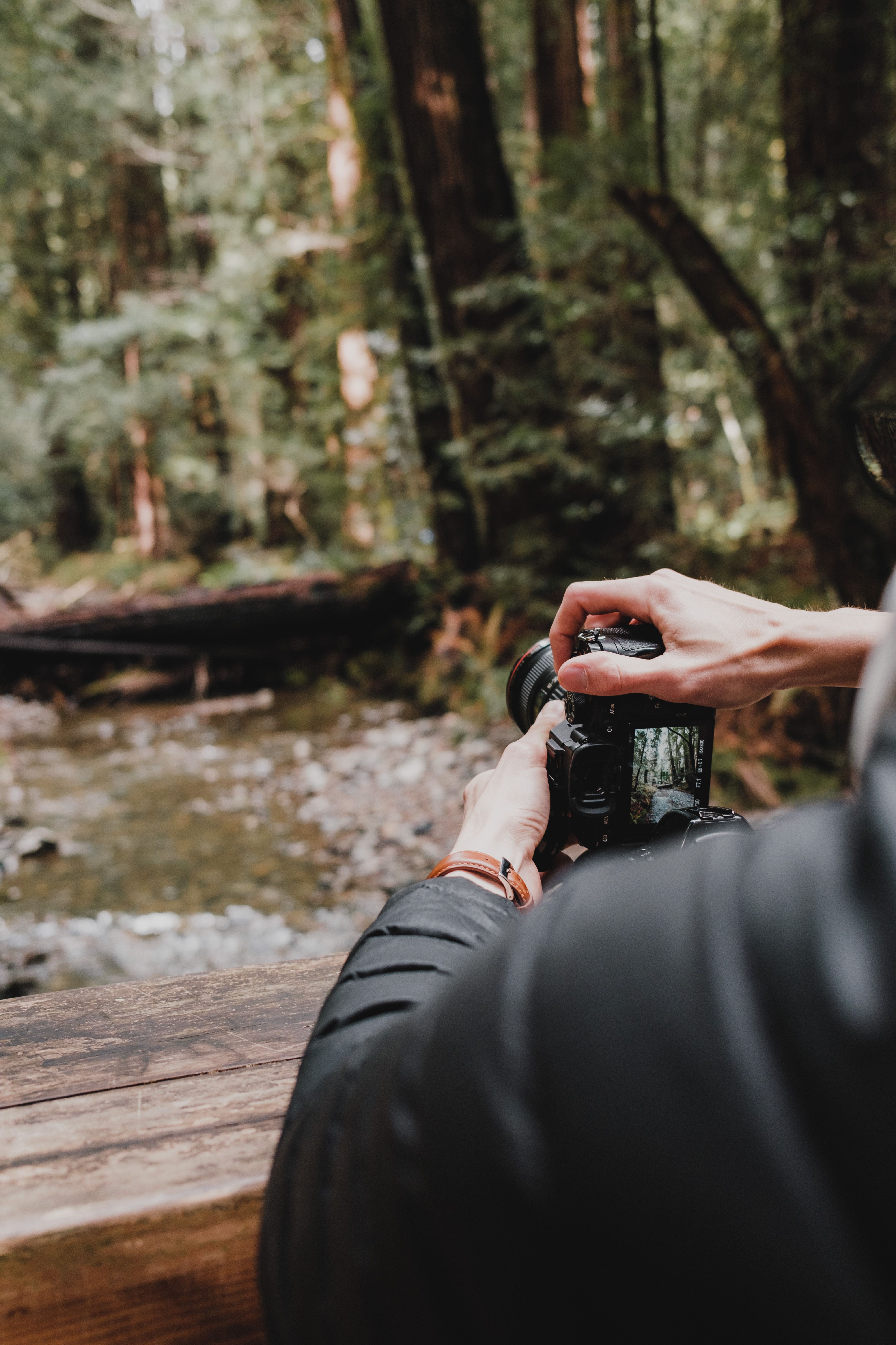 Photographer by a forest stream capturing nature's beauty, focusing on the serenity of the scene.