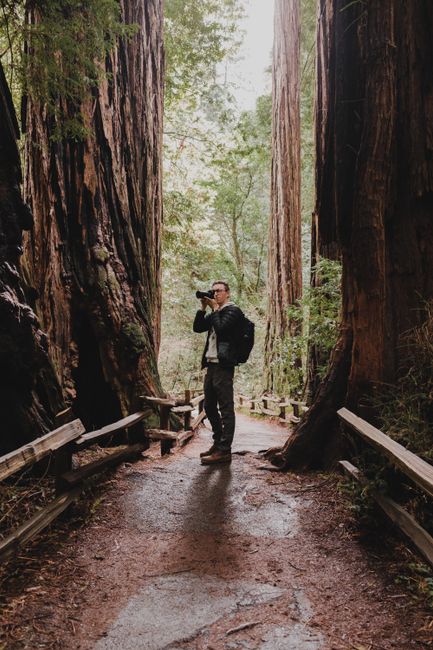 A photographer capturing the beauty of a lush redwood forest path, surrounded by towering trees.