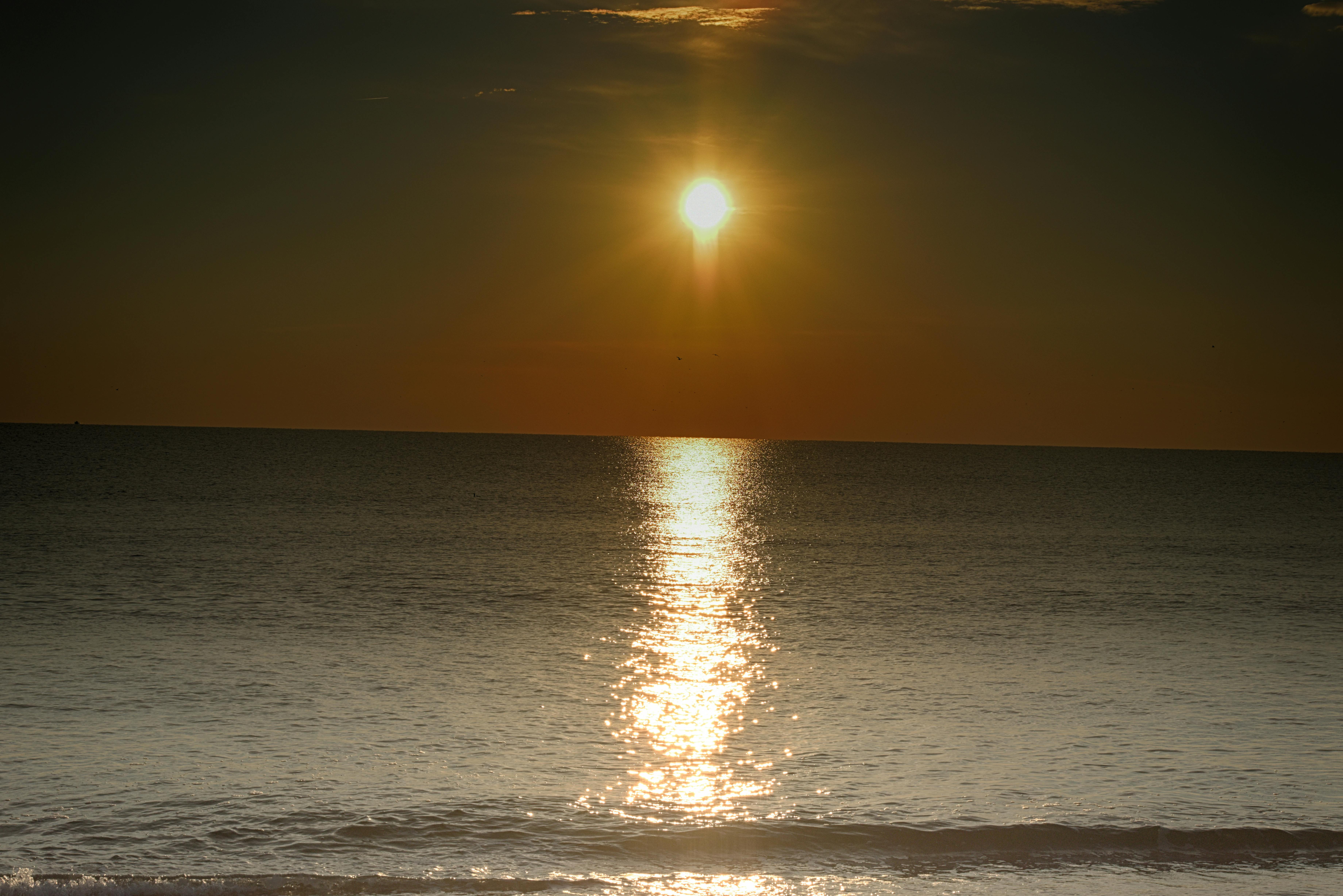 Foto profissional gratuita de alta resolu\u00e7\u00e3o de praia, sol