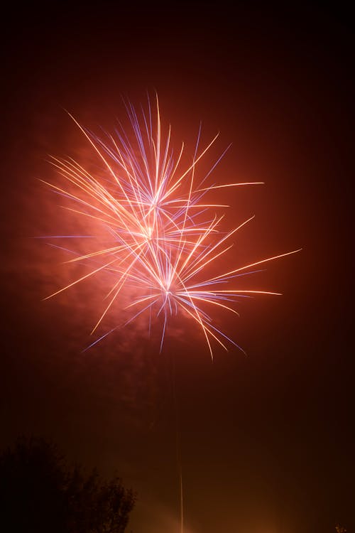 View of Red Fireworks Exploding against Night Sky 