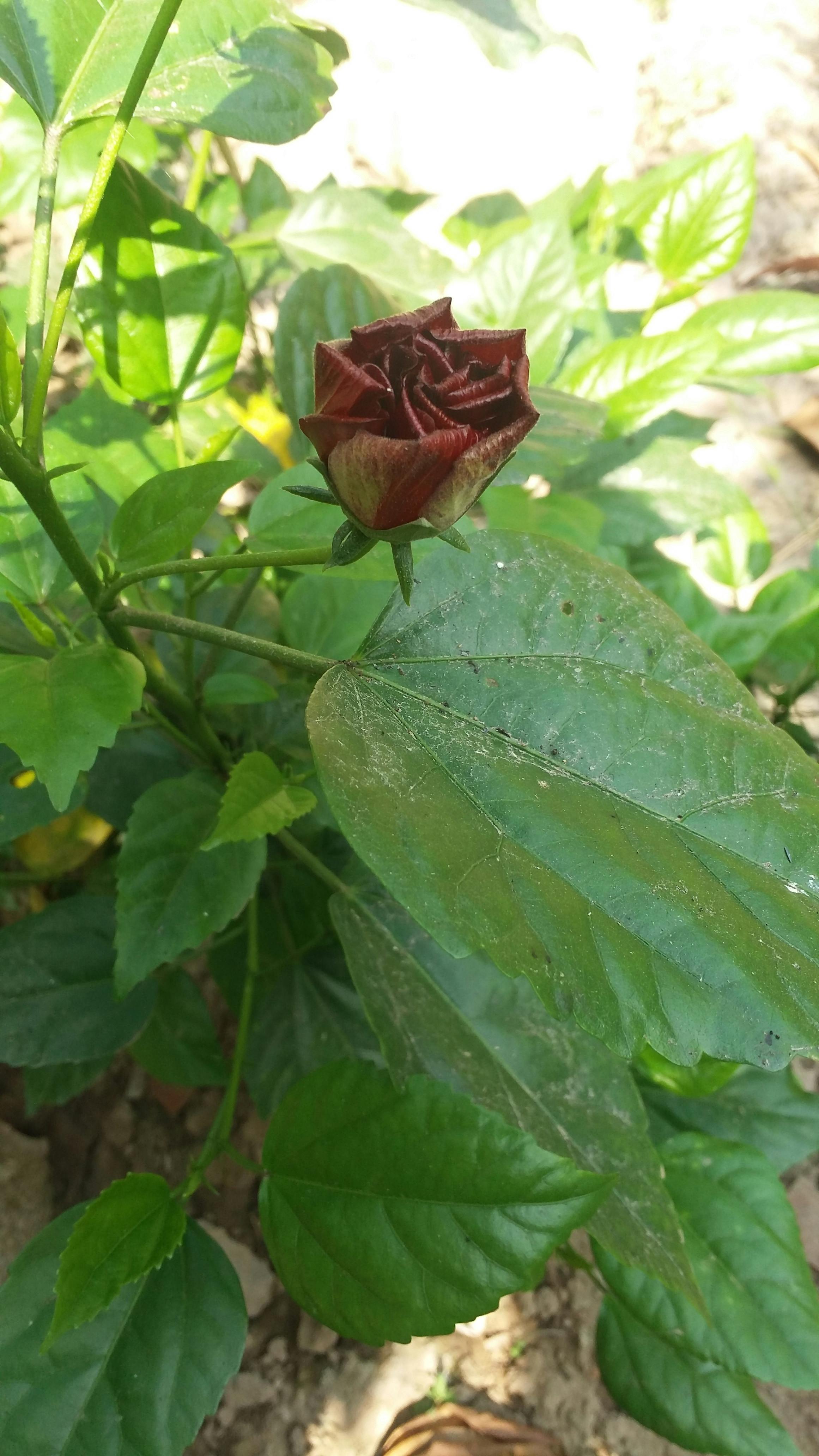 Property Management Team Meeting