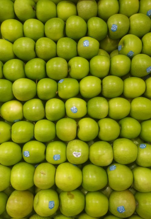 Free stock photo of apple, fruits, green Stock Photo