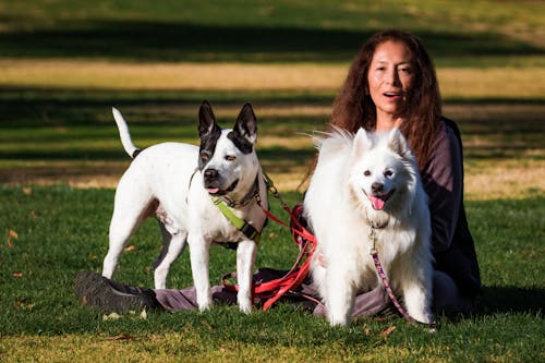 Woman with Two Dogs Sitting on the Ground in a Park 