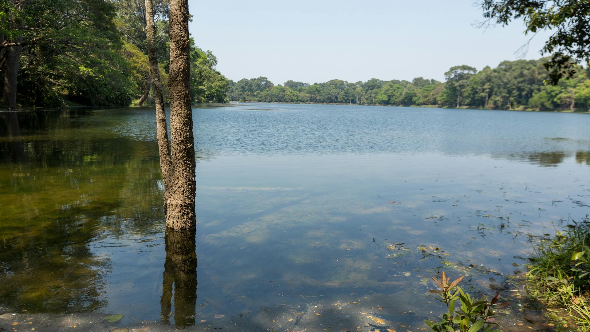 Helsínquia - Professional handyman and home services