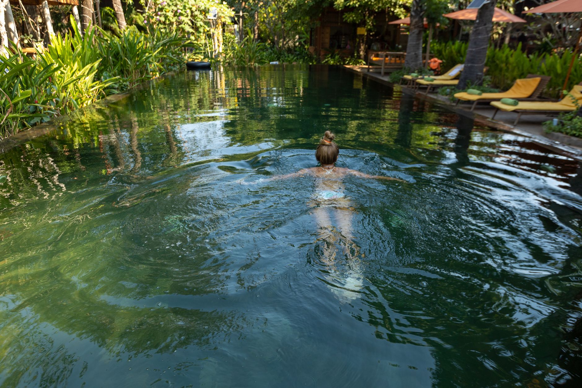garden suite with tropical plants and pool