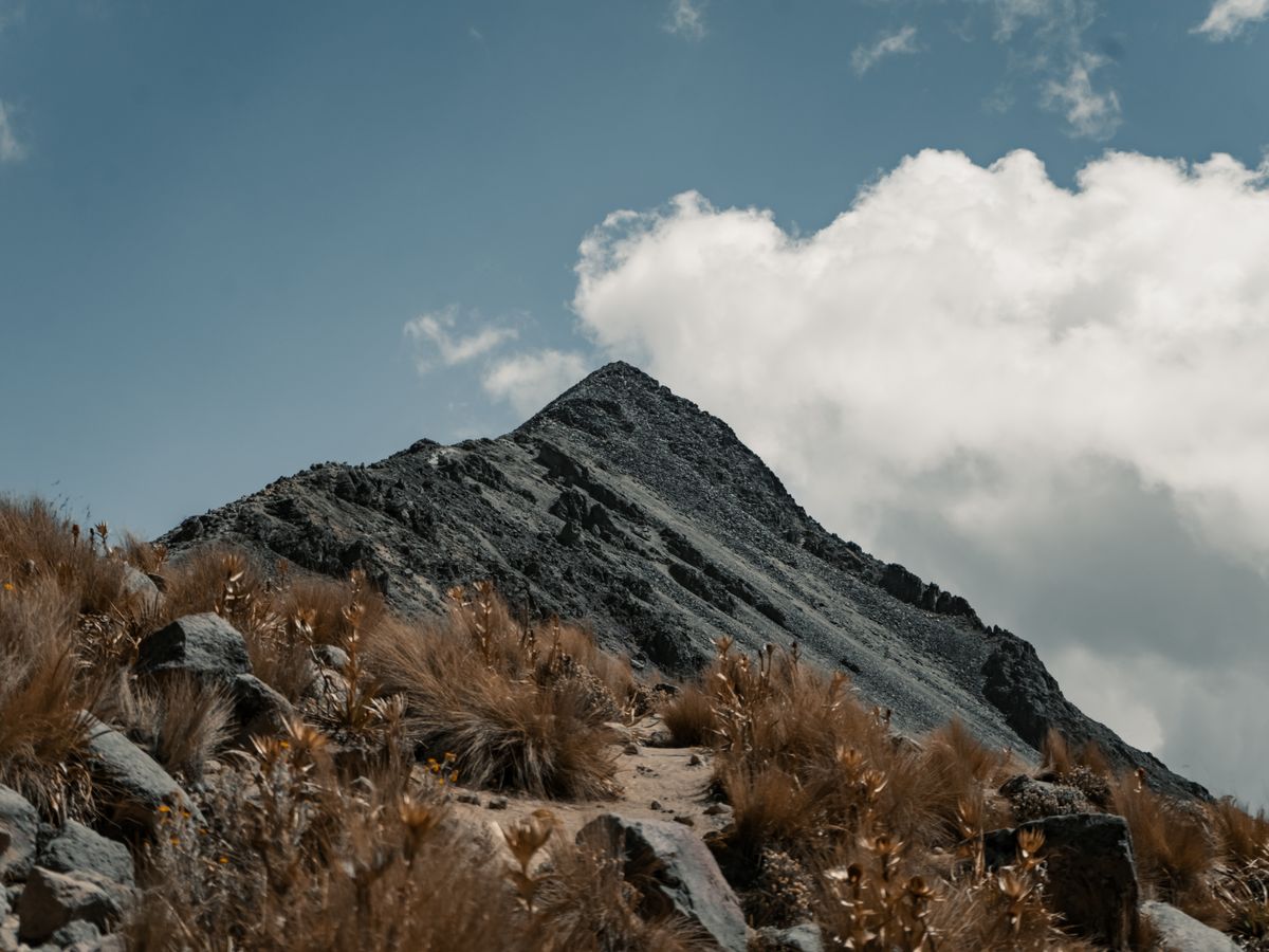 2 Day Flexible 1:1 & Small Group Psilocybin Retreat in Mexico 1