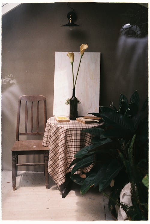 Darmowe zdjęcie z galerii z drewniane krzesło, liście, meble