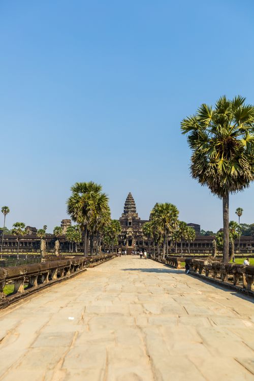 Free Angkor Wat temple in Cambodia framed by palm trees on a clear sunny day. Stock Photo