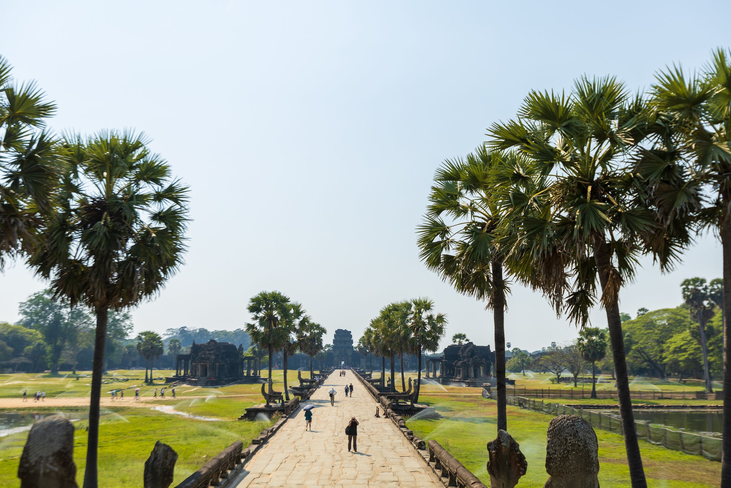 Scenic pathway leading to ancient Angkor Wat with lush palm trees under a clear sky.