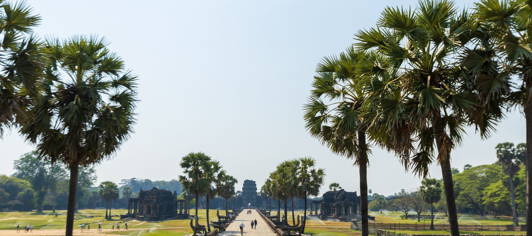 Scenic pathway leading to ancient Angkor Wat with lush palm trees under a clear sky.