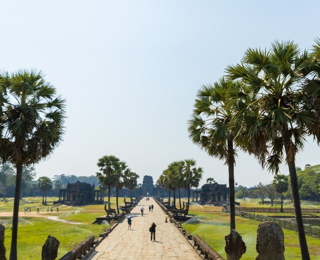 Scenic pathway leading to ancient Angkor Wat with lush palm trees under a clear sky.