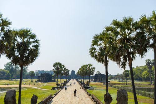 Free Scenic pathway leading to ancient Angkor Wat with lush palm trees under a clear sky. Stock Photo