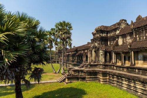 Free Angkor Wat temple facade with lush palm trees in the foreground under a clear sky. Stock Photo