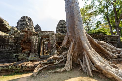 Free Explore the mesmerizing ruins of an ancient Cambodian temple entwined with dramatic tree roots. Stock Photo