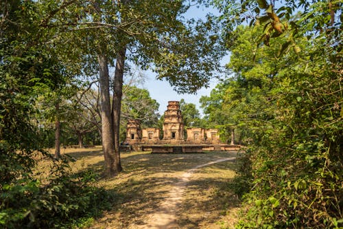 Бесплатное стоковое фото с ангкор-ват, Антикварный, деревья