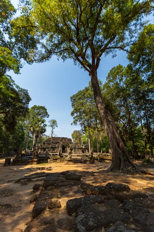 Ruins at the Angkor Wat, Siem Reap, Cambodia